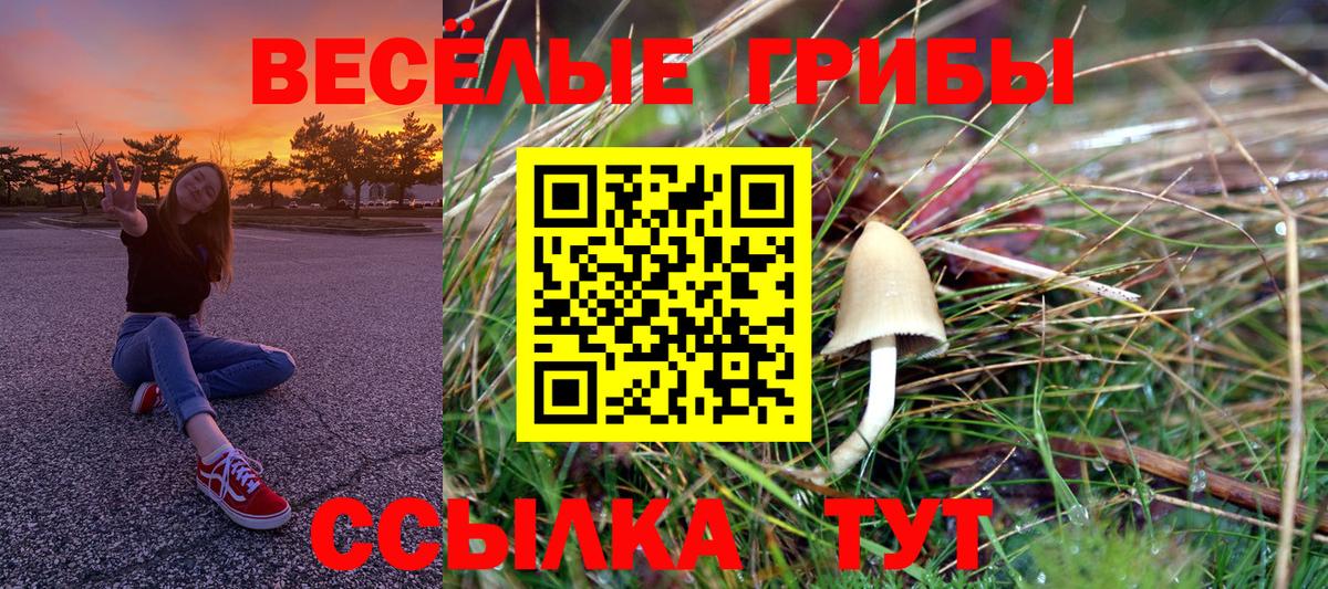 Псилоцибиновые грибы Psilocybe Котовск