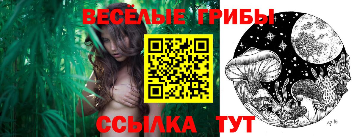 Котовск  Псилоцибиновые грибы Cubensis  Вход с VPN 