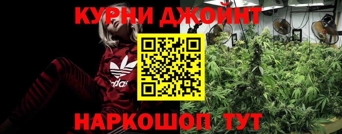 Бошки Шишки OG Kush  Вход с VPN  Бошки марихуана LSD WEED  Котовск  Шишки марихуана конопля  Конопля семена 
